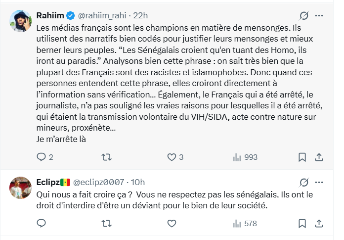 Capture d'écran d'un débat en ligne sur l'homosexualité au Sénégal