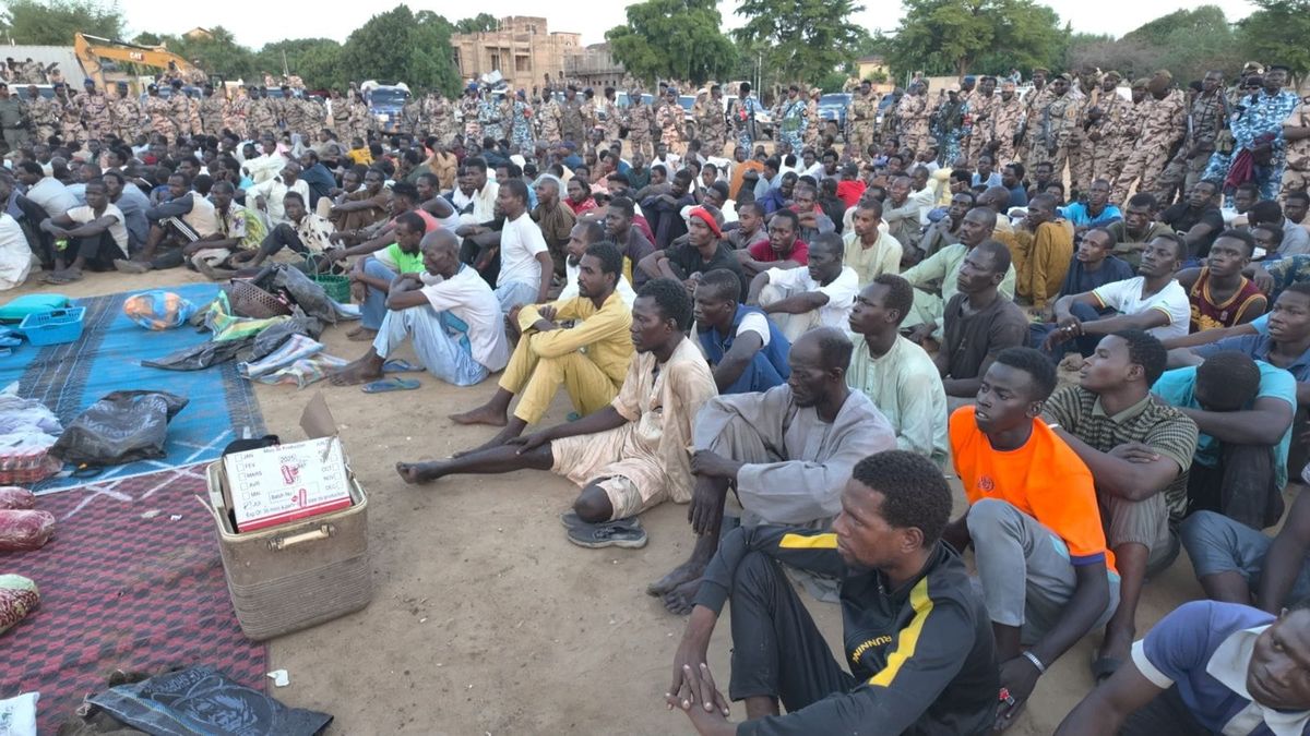 Opération anti-criminalité à N’Djamena : arrestations et saisies de substances