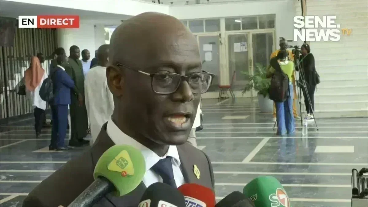 Portrait de Thierno Alassane Sall lors de son intervention parlementaire Thierno Alassane Sall s'exprime lors d'une session parlementaire exceptionnelle au Sénégal